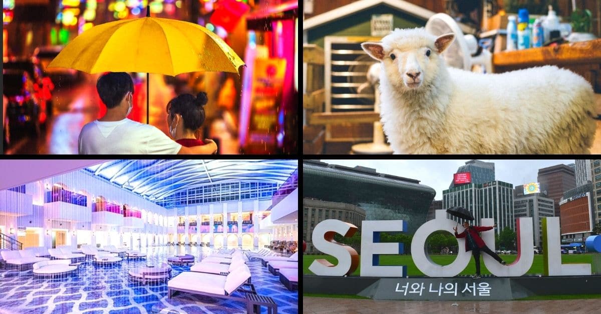 25 Awesome Things To Do In Seoul When It's Raining