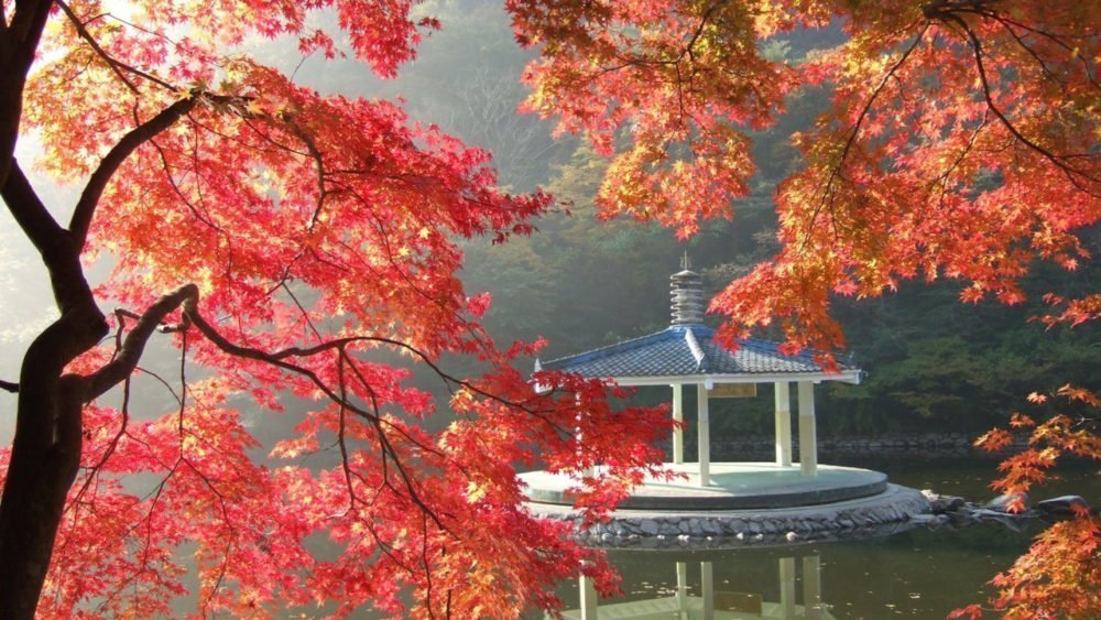 Where To See Autumn Leaves In South Korea Joel's Travel Tips