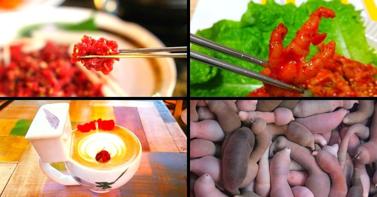 10 Strange Korean Foods: Would You Dare Try Them?