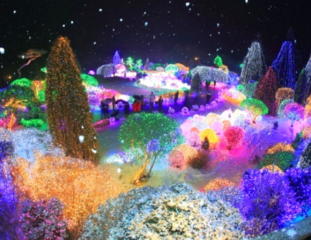 Garden of Morning Calm Light Festival in Korea