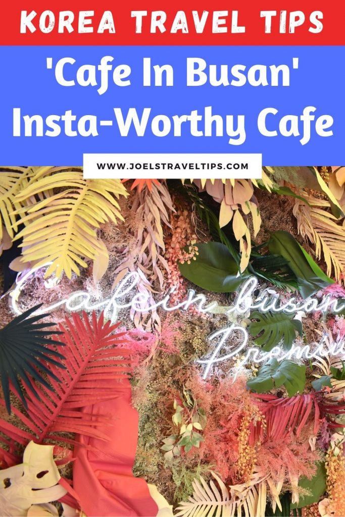 Cafe In Busan Review: Busan's Most Insta-worthy Cafe